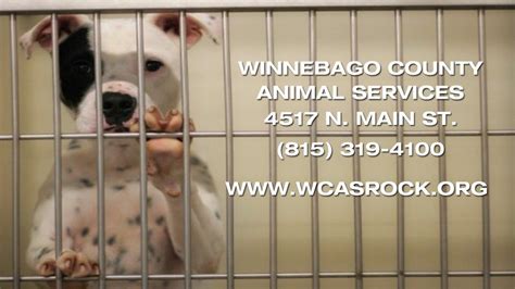 Winnebago County Animal Shelter Volunteer